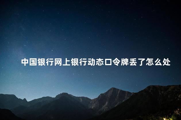 中国银行网上银行动态口令牌丢了怎么处理 中行动态口令不亮了